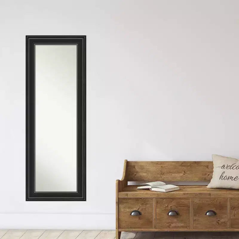 Miroir de porte long non biseauté noir 20 x 54 pouces, à suspendre, aucun assemblage requis