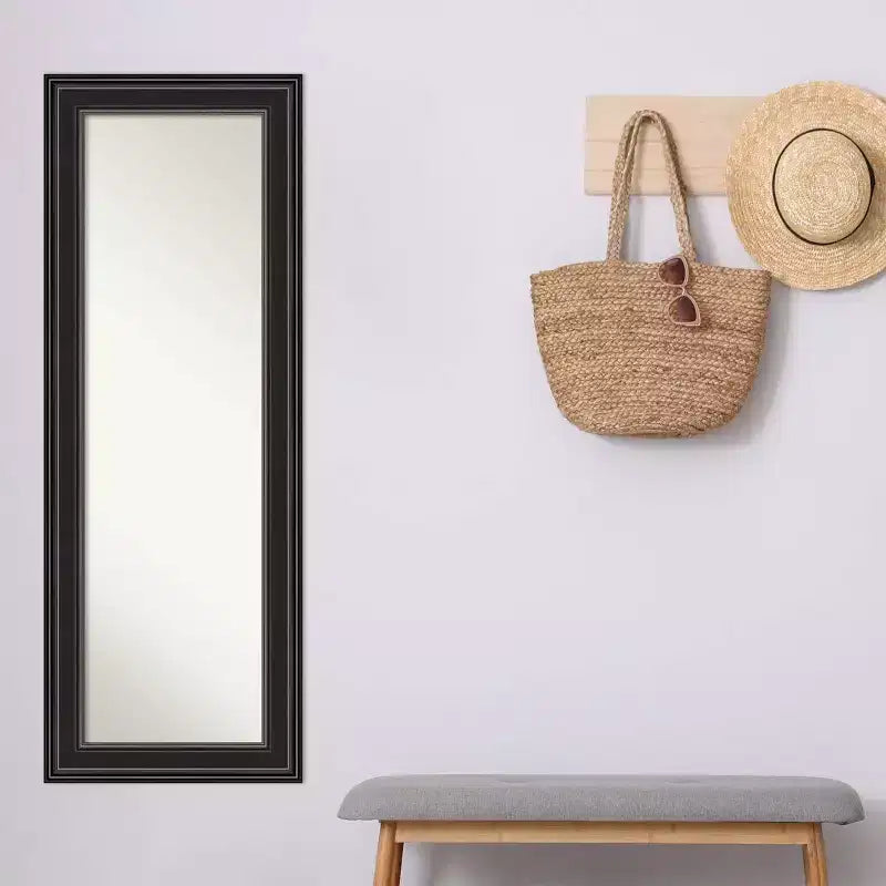 Miroir de porte long non biseauté noir 20 x 54 pouces, à suspendre, aucun assemblage requis